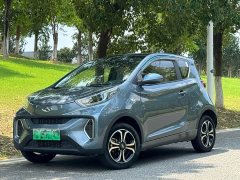 Chery Ant 200,000 Ant Fans Edition Talented Version Ternary Lithium 301km - ფოტო 1