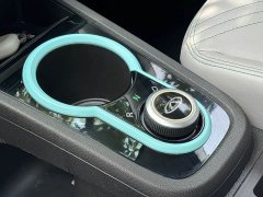 Chery Ant 200,000 Ant Fans Edition Talented Version Ternary Lithium 301km - ფოტო 13