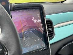 Chery Ant 200,000 Ant Fans Edition Talented Version Ternary Lithium 301km - ფოტო 14