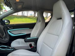 Chery Ant 200,000 Ant Fans Edition Talented Version Ternary Lithium 301km - ფოტო 7