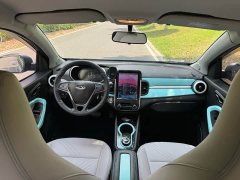 Chery Ant 200,000 Ant Fans Edition Talented Version Ternary Lithium 301km - ფოტო 8