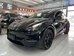 Tesla Model Y 2021 Standard Range RWD - ფოტო 1