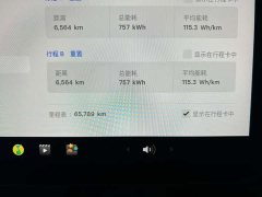 Tesla Model Y 2021 Standard Range RWD - ფოტო 11