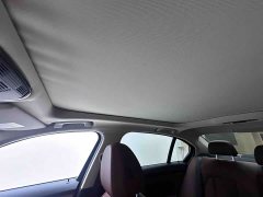 BMW 3 Series 320Li M Sport Package - ფოტო 19
