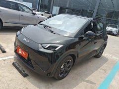 BYD Seagull Smart Driving Edition 305km Freedom Edition - ფოტო 1