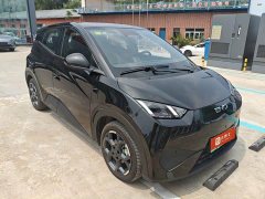 BYD Seagull Smart Driving Edition 305km Freedom Edition - ფოტო 2