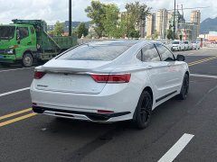 Geely Emgrand 1.8T National Style Edition - ფოტო 18