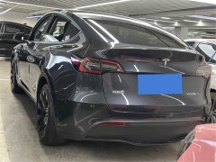 Tesla Model Y Rear-Wheel Drive - ფოტო 14