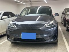 Tesla Model Y Rear-Wheel Drive - ფოტო 2