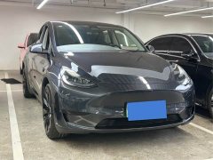 Tesla Model Y Rear-Wheel Drive - ფოტო 3