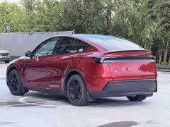 Tesla Model Y Rear-Wheel Drive - ფოტო 11