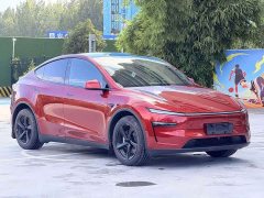 Tesla Model Y Rear-Wheel Drive - ფოტო 3