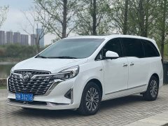 Buick GL8 Land Executive Cabin 652T Luxury - ფოტო 1