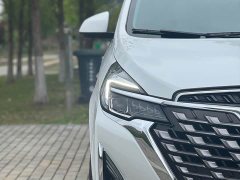 Buick GL8 Land Executive Cabin 652T Luxury - ფოტო 18