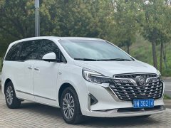 Buick GL8 Land Executive Cabin 652T Luxury - ფოტო 3