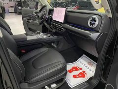 Tank 300 New Energy Hi4-T 37.1kWh - ფოტო 8