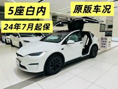 Tesla Model X Dual Motor All-Wheel Drive - ფოტო 15