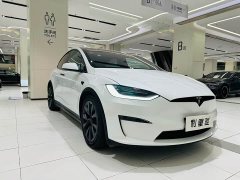 Tesla Model X Dual Motor All-Wheel Drive - ფოტო 16