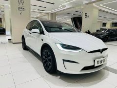 Tesla Model X Dual Motor All-Wheel Drive - ფოტო 19