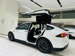 Tesla Model X Dual Motor All-Wheel Drive - ფოტო 20