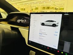 Tesla Model X Dual Motor All-Wheel Drive - ფოტო 7