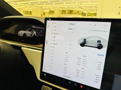 Tesla Model X Dual Motor All-Wheel Drive - ფოტო 9