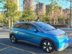 BYD Dolphin 401km Knight Edition - ფოტო 2