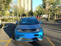 BYD Dolphin 401km Knight Edition - ფოტო 9