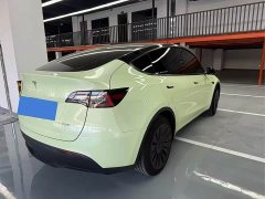 Tesla Model Y Rear-Wheel Drive - ფოტო 12
