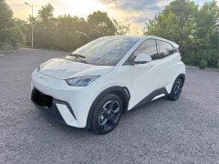 BYD Seagull Freedom Edition - ფოტო 1