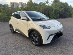 BYD Seagull Freedom Edition - ფოტო 3