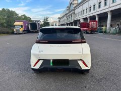BYD Seagull Freedom Edition - ფოტო 8