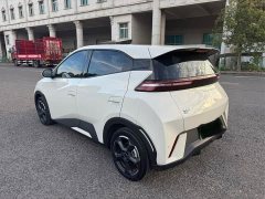BYD Seagull Freedom Edition - ფოტო 9