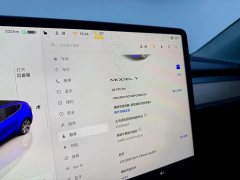 Tesla Model Y 2022 Facelift Rear-Wheel Drive - ფოტო 11