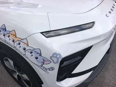 Chery Shuyuanjia 2024 512km Freestyle Edition - ფოტო 8