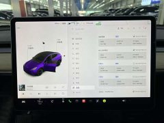 Tesla Model Y Long Range All-Wheel Drive 3D7 - ფოტო 10