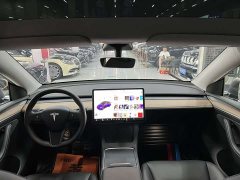 Tesla Model Y Long Range All-Wheel Drive 3D7 - ფოტო 6