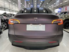 Tesla Model Y Long Range All-Wheel Drive 3D7 - ფოტო 8