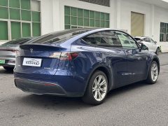 Tesla Model Y Rear-Wheel Drive - ფოტო 9