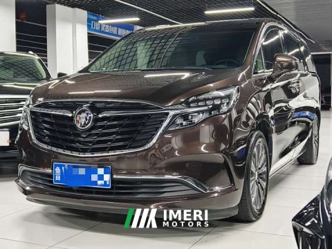 2021 Buick GL8 ES Land Respect 653T Luxury - ავტომობილი ჩინეთიდან