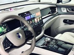 Denza D9 2022 DM-i 970 AWD Flagship - ფოტო 9