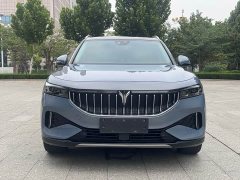 Voyah Lantu FREE 2021 Four-Wheel Drive Standard Pure Electric Exclusive Luxury Package - ფოტო 2