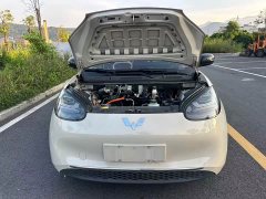 Wuling Binguo 2023 333km Joy Edition - ფოტო 18