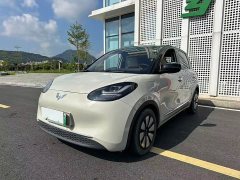 Wuling Binguo 2023 333km Joy Edition - ფოტო 20