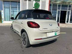 Wuling Binguo 2023 333km Joy Edition - ფოტო 3