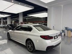 BMW 5 Series 530Li Premier M Sport Package - ფოტო 13