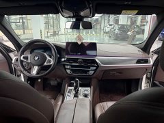 BMW 5 Series 530Li Premier M Sport Package - ფოტო 9
