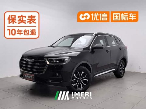 2021 Haval H6 National Trend Edition 1.5T Automatic Urban Version - ავტომობილი ჩინეთიდან