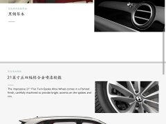 Bentley Bentayga 4.0T V8 Long Wheelbase - ფოტო 8