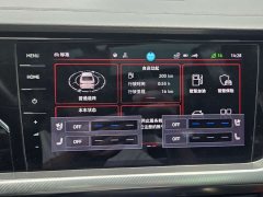 Volkswagen Passat 380TSI Premier - ფოტო 15